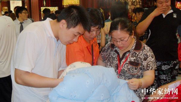 智成相伴贏在艾莎