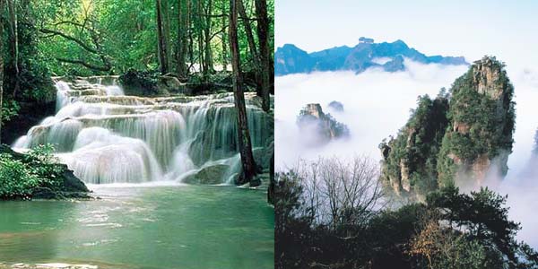 �����̆T�����[���ҽ�