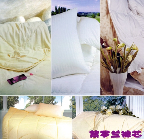 ���_�m�Ҽ������m���쾫������