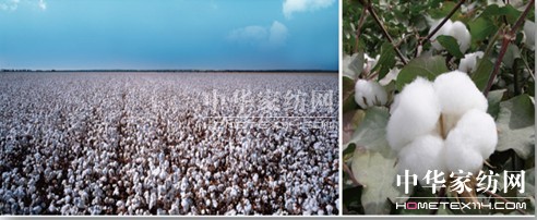 ���N�������N��һ�w�� ������Ҽ��wϵ