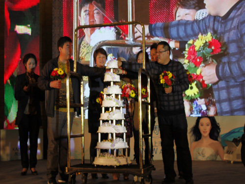 �Pʢ���{�{paisley��׌�����v�w