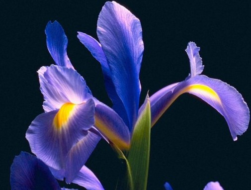 �L��2011 Ҋ�C���_�m�ĿƼ�����