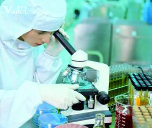 風雨2011見證紫羅蘭的科技創新