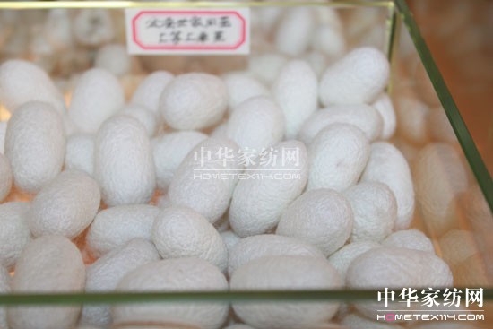 ���Q���Һ���ֱ�I��A���_�I