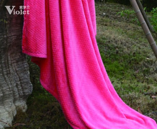 紫羅蘭夏涼產品總動員