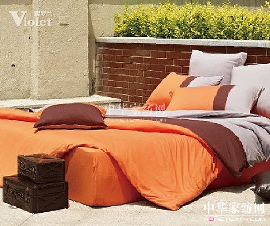 與紫羅蘭徜徉愛的街道