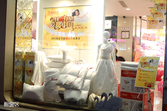 真愛美家:真芯行動愛暖中國