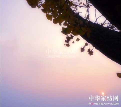 ���z�Ҽ��Ҹ��ж�  �ɾ���������