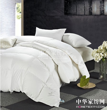 ����ůꖱM���{�z��Ҽ�