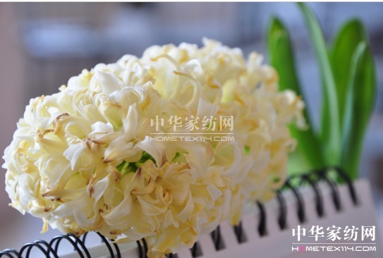 ���z������էů �������C