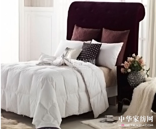 紫羅蘭:解析幾款常見冬被