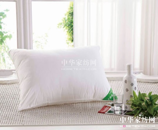 紫羅蘭時尚健康雙軌齊發