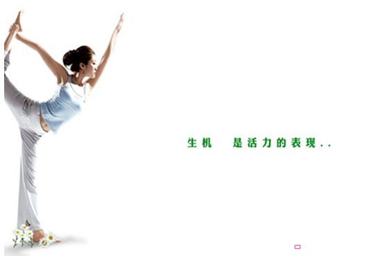 紫羅蘭:生機(jī)生活 時尚健康