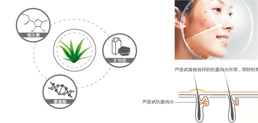藍品科技:以天然滋養生命!