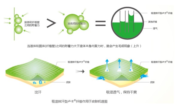 藍品吸濕盧卡纖維:干爽睡眠不是夢!