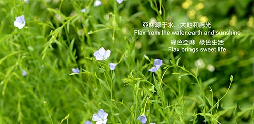 諾曼底亞麻布家紡改善世界杯期間睡眠