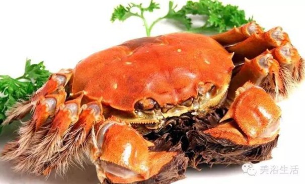ԡÂĴlззSʳзȯзë