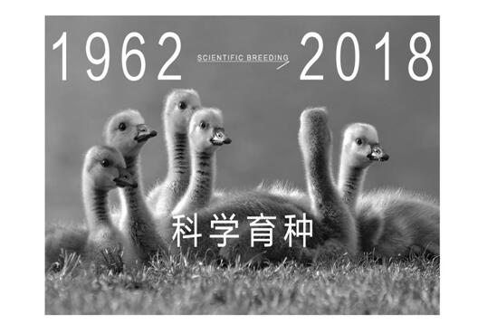 Ҽmq¾p